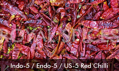 Indo-5 Dried Red Chilli