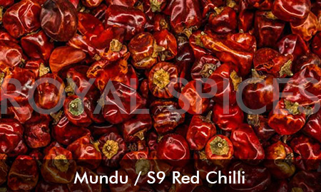 Mundu S9 Dried Red Chilli