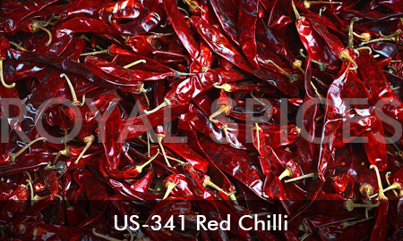 US-341 Dried Red Chilli