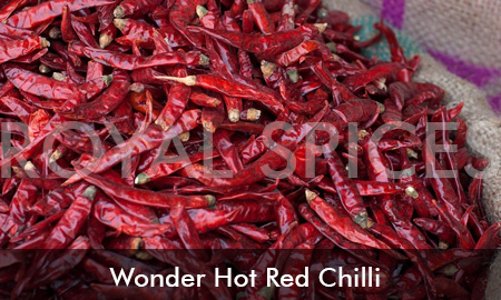 Wonder Hot Dried Red Chilli